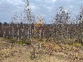 2025_11_03_10_20_IMG_5080.JPG