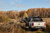 24-10-26_trophy-life_17 _0002jpg_web.jpg