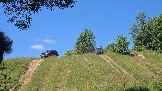 20260801_115210.jpg