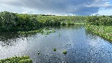 IMG_1373.jpg