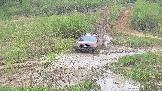 20260510_141243.jpg