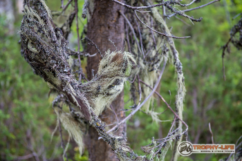 _DSC7350.jpg