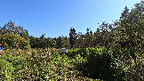 Трофи-лайф фото 4х4 покатушка Волоколамский Кремль 07.09.2024 - (10).png