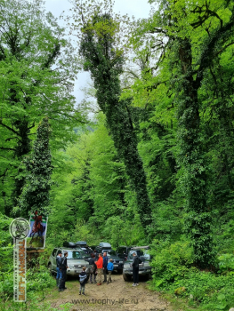 Фото Трофи-лайф 4х4 экспедиция Абхазия 2022 1-9.05.22 - 606.jpg