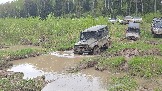20260510_142030.jpg