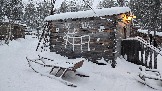 20251203_114120 саам дерев.jpg