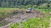 20260801_135037.jpg
