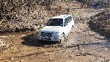 20250308_114746.jpg