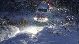 20231125_164831.jpg