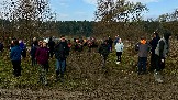 IMG_7553.jpg