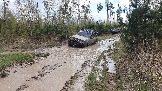 20250426_120002.jpg