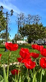 0A5D55D3-63A9-43F2-BD62-411A9EC0A8FC.jpeg