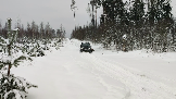 Трофи-лайф фото 4х4 покатушка нахабинские выселки 27.01.2024 - (10).png