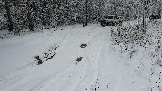 20231125_122711.jpg