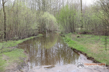 Фото Трофи-лайф 4х4 покатушка-экспедиция Мещерские Озёра 8-9.05 (144).jpg