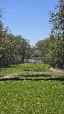 20250503_111231.jpg