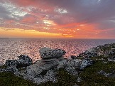IMG_9432.jpeg