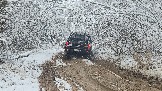 20251115_113203.jpg