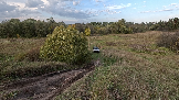 Трофи-лайф фото 4х4 покатушка Подвиги Русского Солдата 28.09.2024 -  (233).png