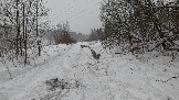 Трофи-лайф фото 4х4 покатушка Волоколамский Кремль 09.01.2026 - (15).jpg