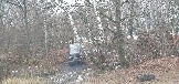 20241130_115152.jpg