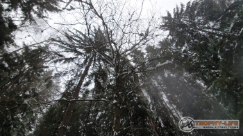 Фото Трофи-лайф 4х4 покатушка Бронницкий Виадуг 23.01.21 -151.jpg