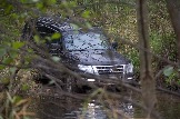 IMG_8901.jpeg
