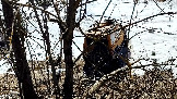 Трофи-лайф фото 4х4 покатушка Дмитровская Игрушка 21.03.2026 - (9).jpg