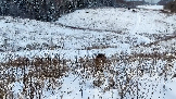 Трофи-лайф фото 4х4 покатушка Рогачёвские Сокровища 14.12.2024 - (91).png