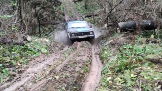 Моментальный снимок 35 (08.11.2023 12-28).png