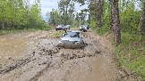 20260510_112046.jpg