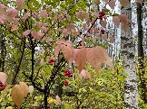 IMG_5682.JPG