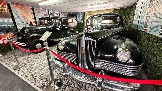 IMG_7649.jpg