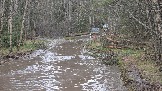 20260501_143115.jpg