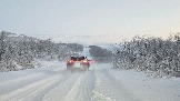 20251205_111942 снеж дорога.jpg