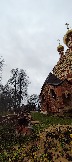 IMG_20231106_114457.jpg