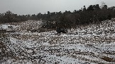 Трофи-лайф фото 4х4 покатушка Школа 4х4 16.02.2025 -  (200).jpg