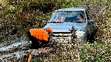 IMG_7519.jpg